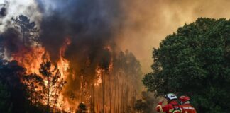 Varios incendios en el norte de Portugal