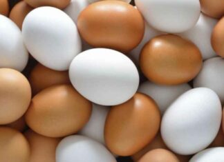 Cuánto huevos se pueden comer por día y por qué ayudan a bajar de peso