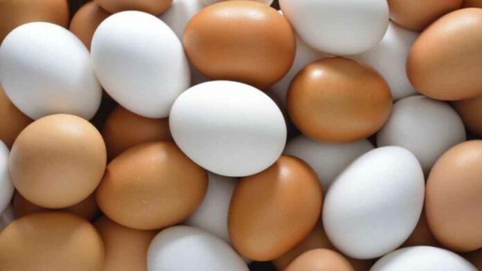 Cuánto huevos se pueden comer por día y por qué ayudan a bajar de peso