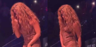 Shakira baja de escenario luego de que seguidor intentó grabar bajo su vestido