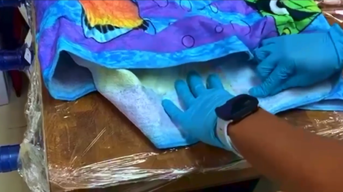 Frustran envío de cocaína impregnada en cinco toallas