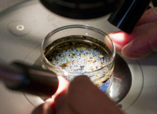 Los microplásticos ya están presentes en los seres vivos recién nacidos