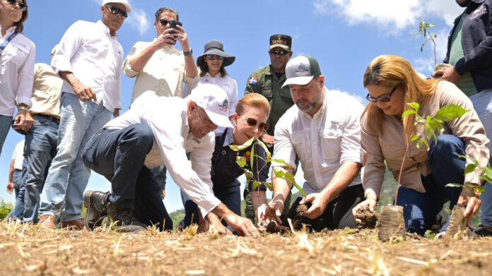 Medio Ambiente y Sur Futuro inician las actividades del Mes de la Reforestación