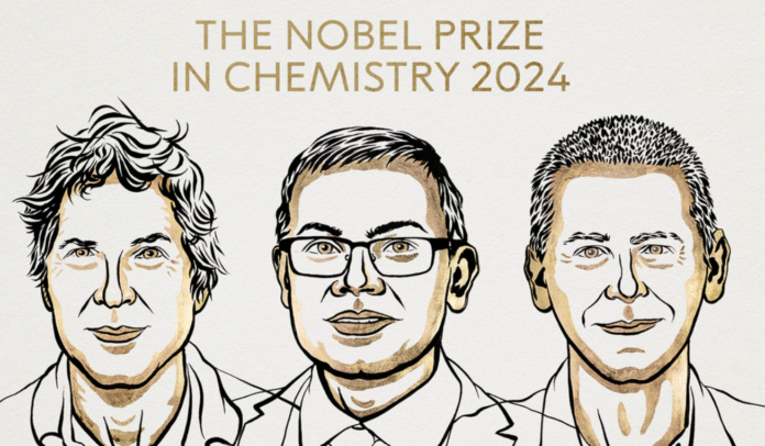 Anuncian el Nobel de Química por 'hackear' la estructura de las proteínas