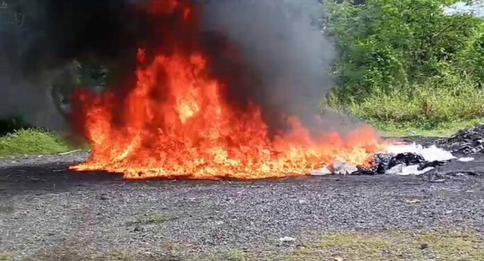 El Inacif quema otros 229 kilogramos de varias drogas