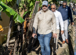 Medio Ambiente notifica a invasores para que desalojen humedal en área protegida