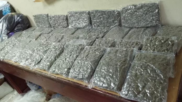 DNCD arresta dos hombres en el AILA con 35 paquetes de marihuana