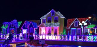 Navidad: Tiempo de alegría, esperanza y gratitud