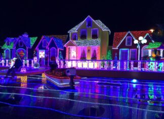Navidad: Tiempo de alegría, esperanza y gratitud