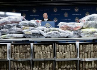 El poderoso cártel mexicano que ‘bate un récord’ en Canadá