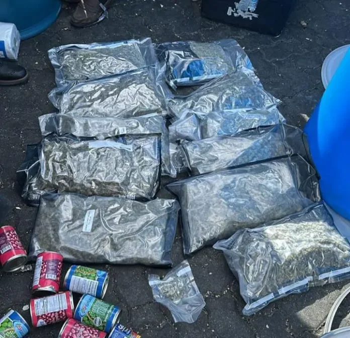 Ocupan 12 paquetes de marihuana camuflados en tanque de comida