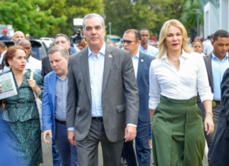 Presidente Luis Abinader acepta renuncia de Milagros Germán en Cultura