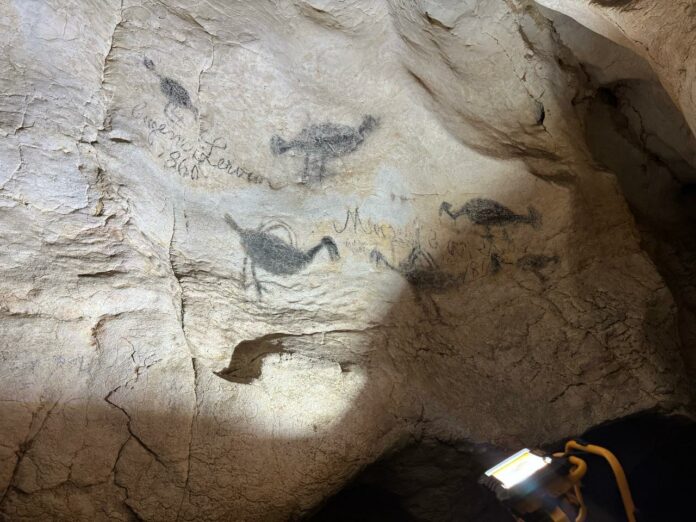 Abinader anuncia el fin de la extracción minera en Cuevas del Pomier