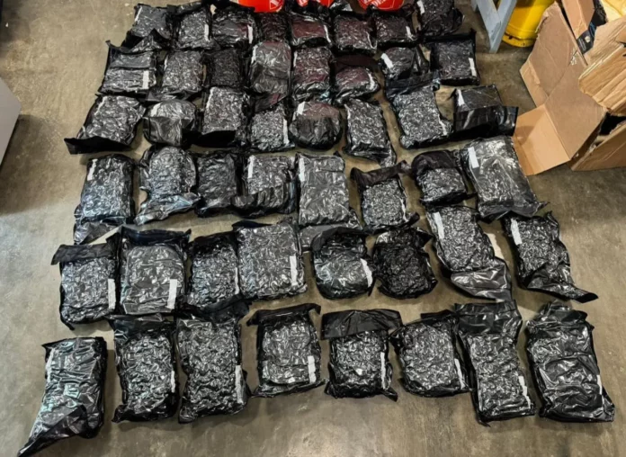 DNCD confisca en el AILA 57 paquetes de marihuana