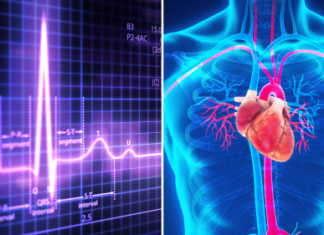 El corazón detecta el sabor dulce: un hallazgo que podría cambiar la medicina cardiovascular