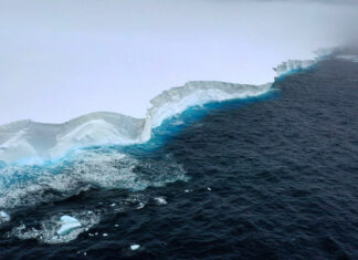 Se desprende un enorme fragmento del iceberg más grande del mundo