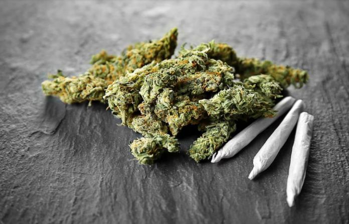 Consumo excesivo de marihuana podría elevar los casos de esquizofrenia