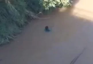 Chofer de vehículo cargado de haitianos se tira a un canal para evitar ser detenido