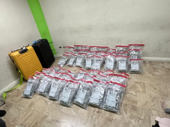 Confiscan 90 pacas de marihuana en aeropuerto de Punta Cana