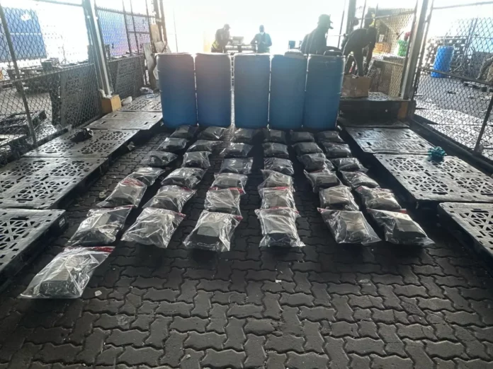 Confiscan 73 paquetes de marihuana en puerto Haina