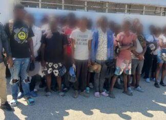 Migración detiene a 877 indocumentados y deporta 785