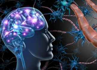 El accidente cerebrovascular, la demencia y la depresión comparten muchos factores de riesgo