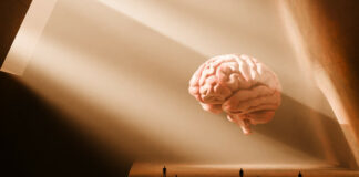 Semanas laborales largas podrían afectar la estructura cerebral