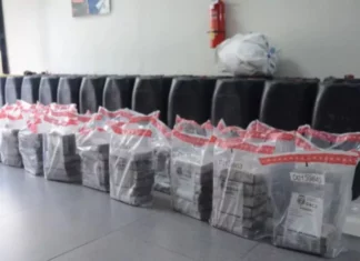 Incautan 1,200 gramos de cocaína y otras sustancias durante operativos en Barahona