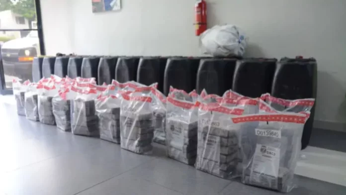 Incautan 1,200 gramos de cocaína y otras sustancias durante operativos en Barahona