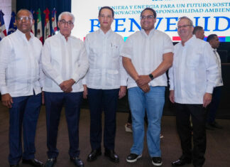 Gobierno busca llevar el servicio eléctrico al 99.5 % de hogares dominicanos para 2030