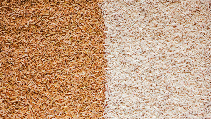 Elige bien tu arroz: ¿qué tipo es más saludable?