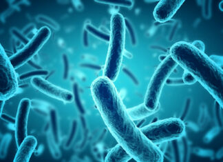Cuatro muertos por una bacteria comecarne en Florida