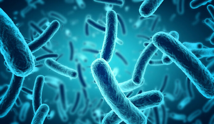 Cuatro muertos por una bacteria comecarne en Florida