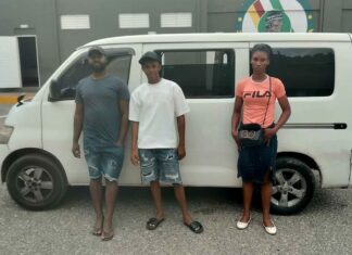 Detienen dos hombres por transportar haitiana indocumentada en Azua