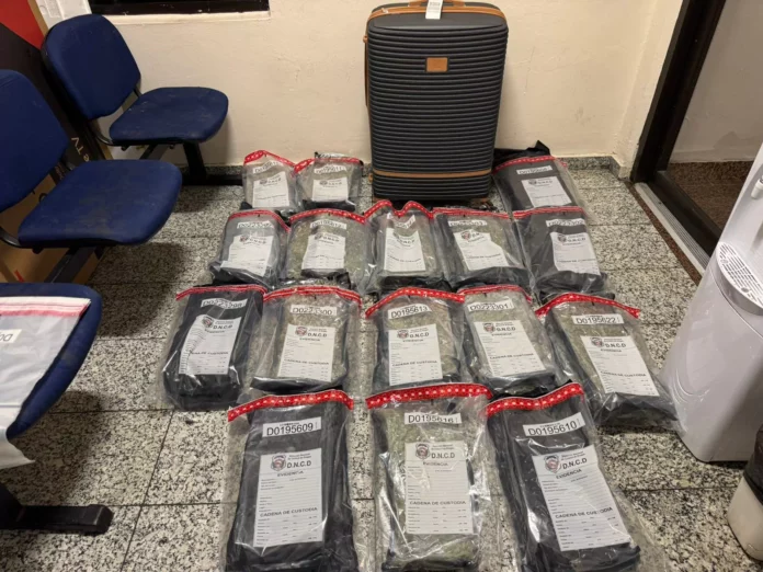 Incautan 60 paquetes de presunta marihuana en el AILA