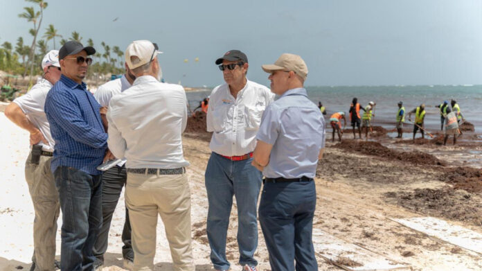 Medio Ambiente activa operativo nacional ambiental ante presencia masiva de sargazo