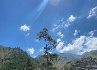 Medio Ambiente crea mesa de trabajo para regular actividades ecoturísticas en la ruta de la presa Palomino