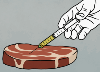 Detectan qué aditivos alimenticios acortan la vida