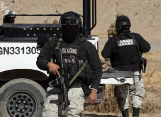 Reportan la detención de un sobrino del Chapo Guzmán