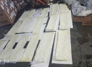 DNCD confisca 58 kilogramos de cocaína ocultos en cajas de pescado
