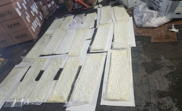 DNCD confisca 58 kilogramos de cocaína ocultos en cajas de pescado en el Aeropuerto Cibao