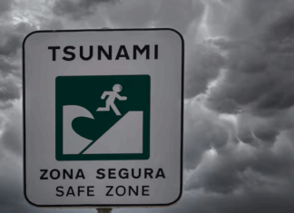 Suspenden la alerta de tsunami en la costa de Chile tras un fuerte sismo