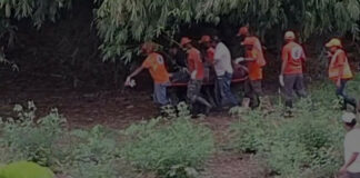 Muere conductor de camión que cayó en colapso de puente Don Juan en Monte Plata