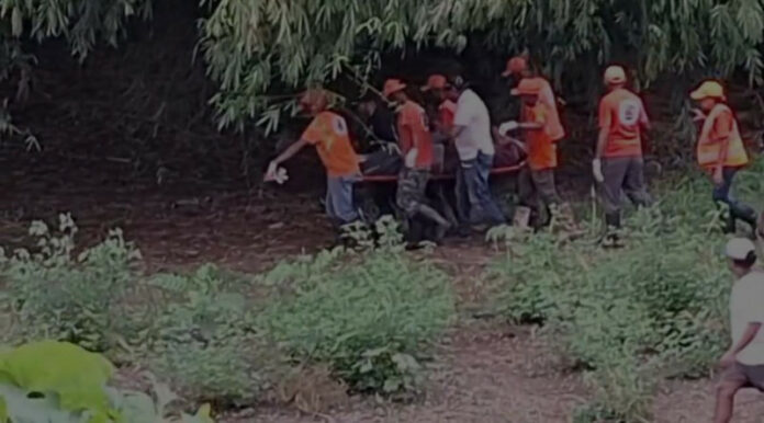 Muere conductor de camión que cayó en colapso de puente Don Juan en Monte Plata