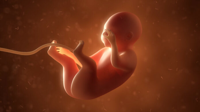 Extraen dos gemelos parásitos del abdomen de una bebé
