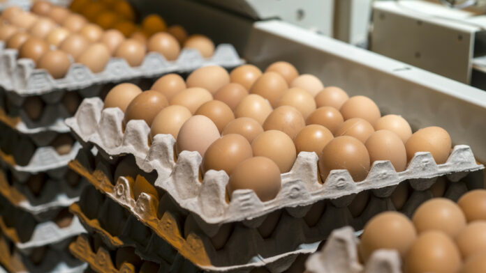 EE.UU. compra huevos a Rusia por primera vez en más de 30 años