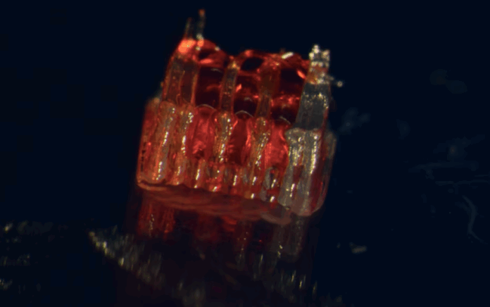 La impresión 3D ofrece esperanza para las lesiones de médula espinal