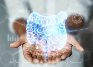 Cinco hábitos que dañan la salud intestinal, según expertos