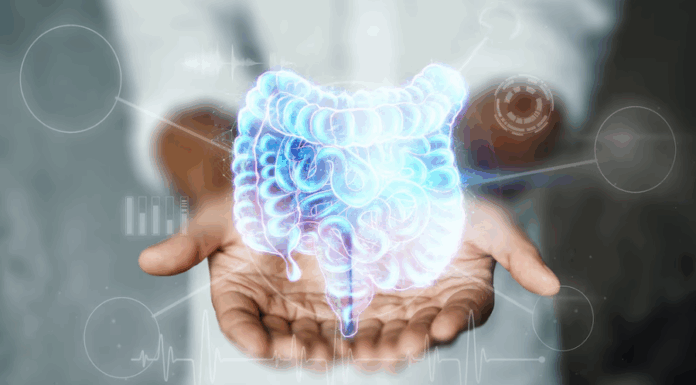 Cinco hábitos que dañan la salud intestinal, según expertos