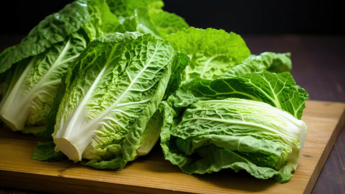 ¿Es seguro comer lechuga romana?